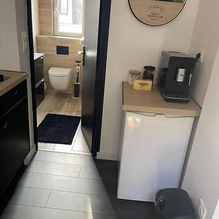 Appartement Mezzanine à Strasbourg