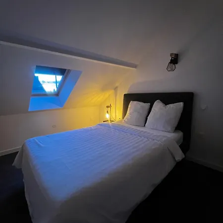 Appartement Mezzanine à Strasbourg