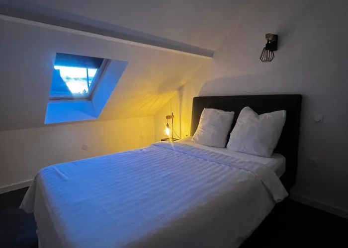 Appartement Mezzanine à Strasbourg