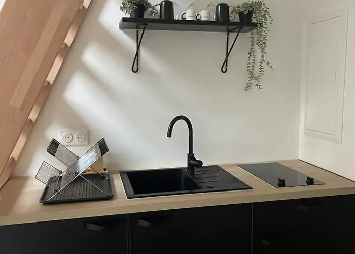 アパート Mezzanine A ストラスブール